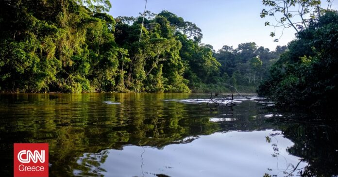 «Συναντήσεις-στον-Αμαζόνιο:-Παγκόσμιοι-Ηγέτες-Ενώνουν-Δυνάμεις-για-το-Κλίμα!»